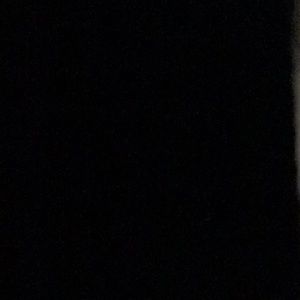 Meet your Posher, Lana